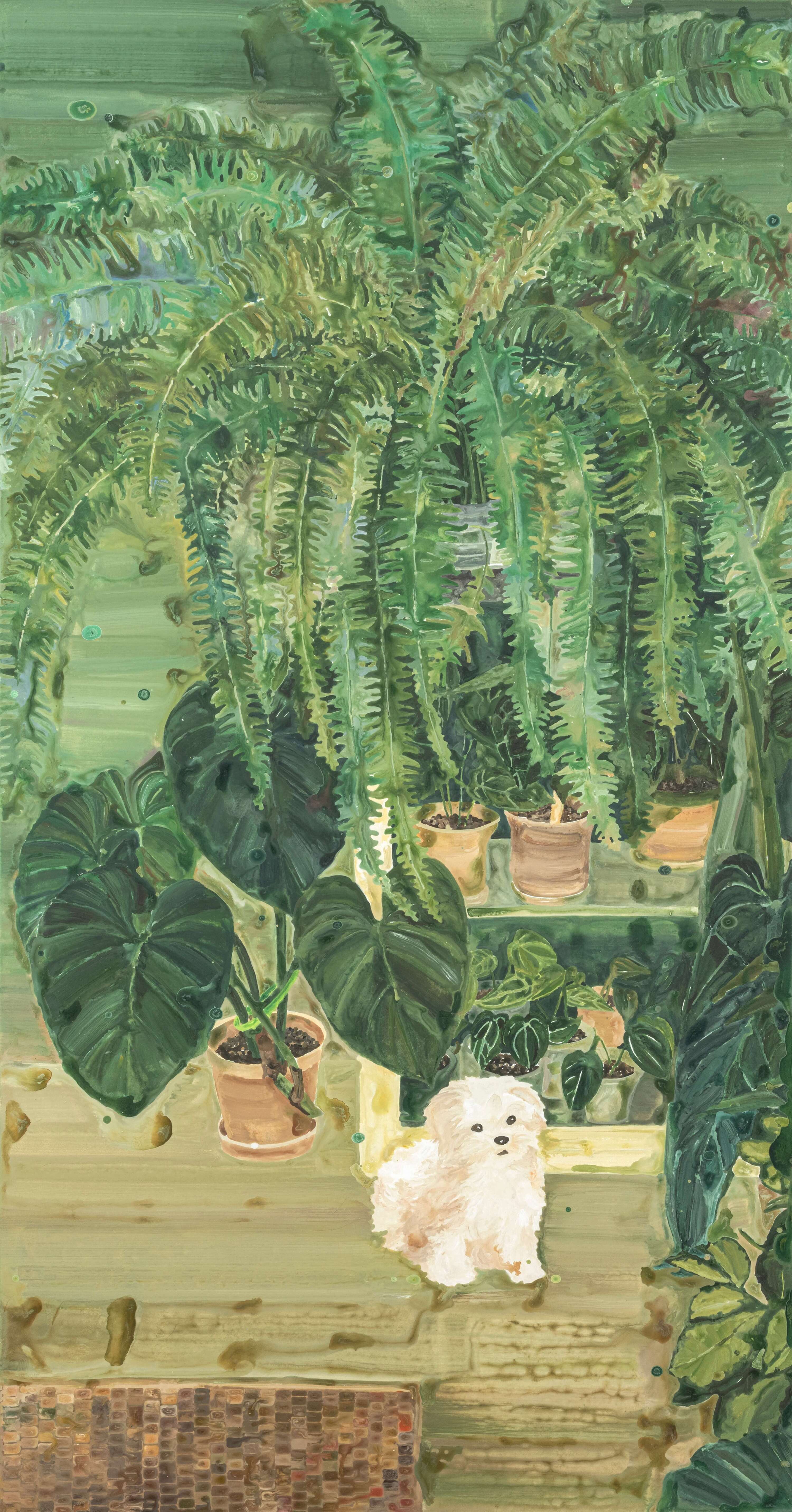 Plant jungle Room