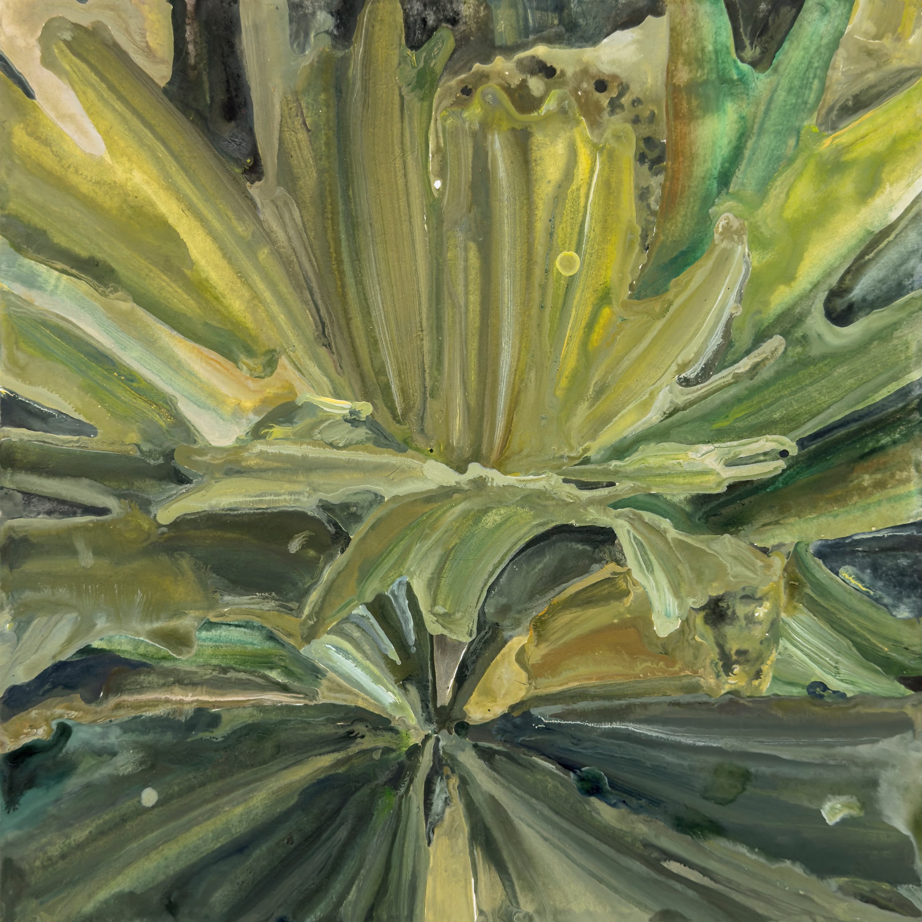 Selfie of Staghorn Fern(4)