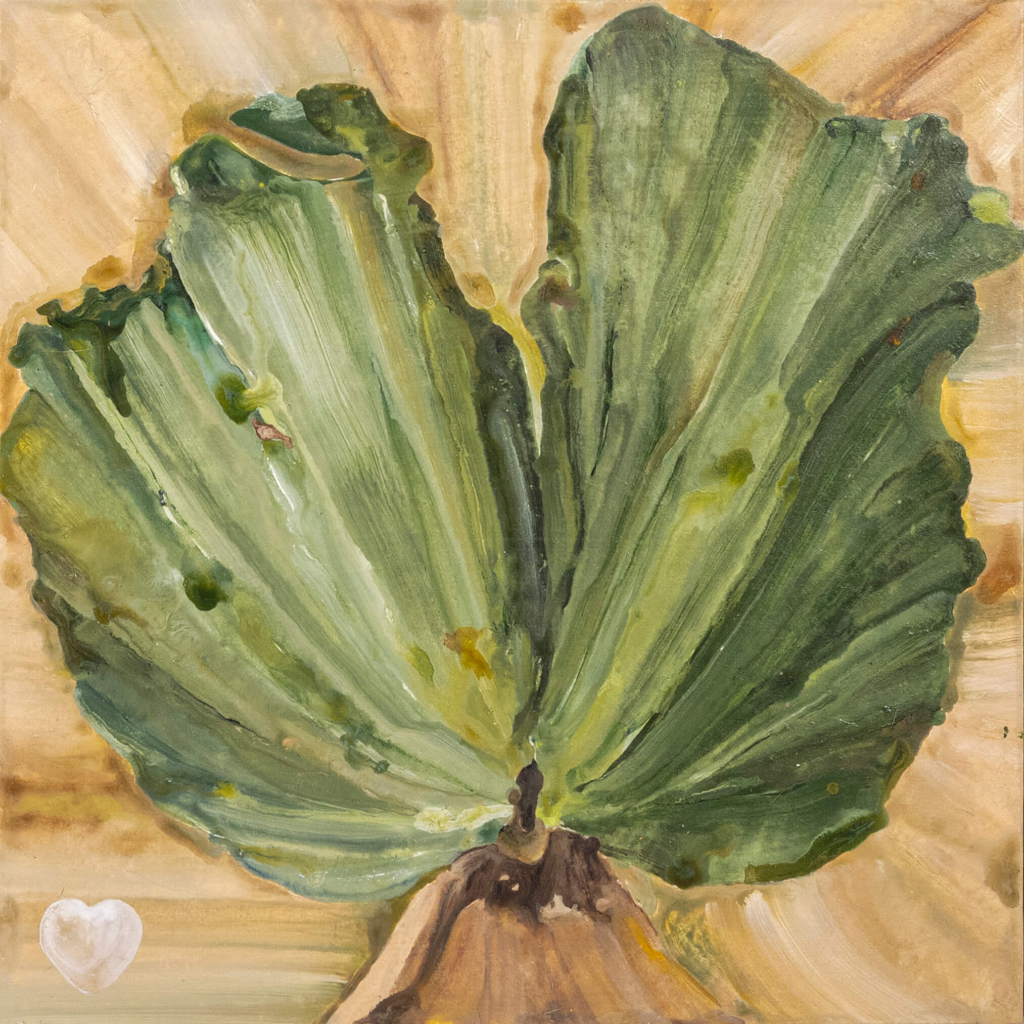 Selfie of Staghorn Fern(5)