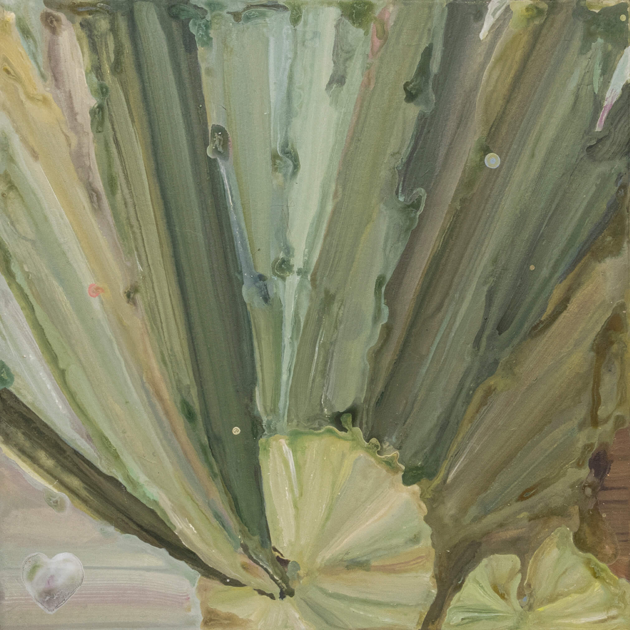 Selfie of Staghorn Fern(6)