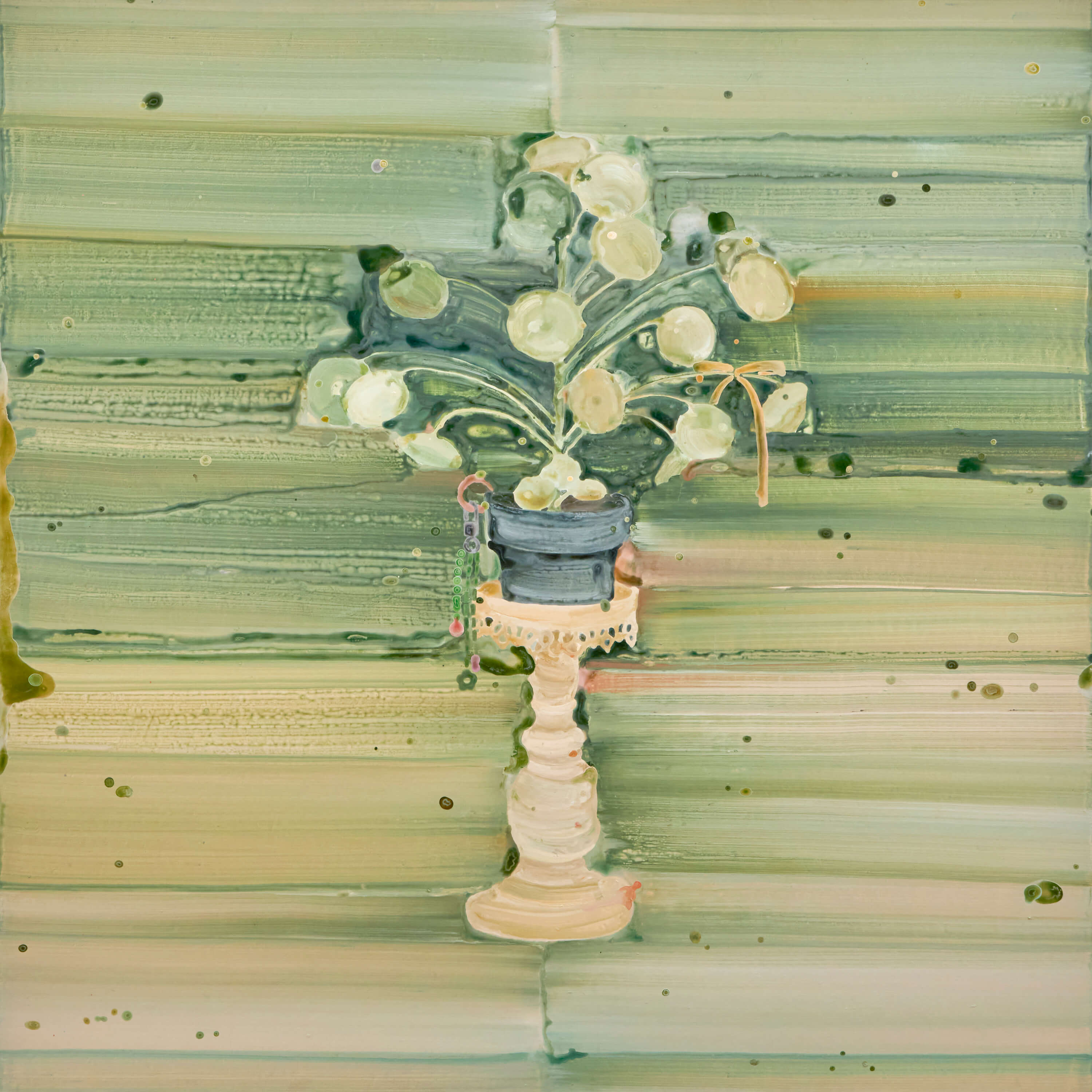 필레아 페페
Pilea Peperomioides