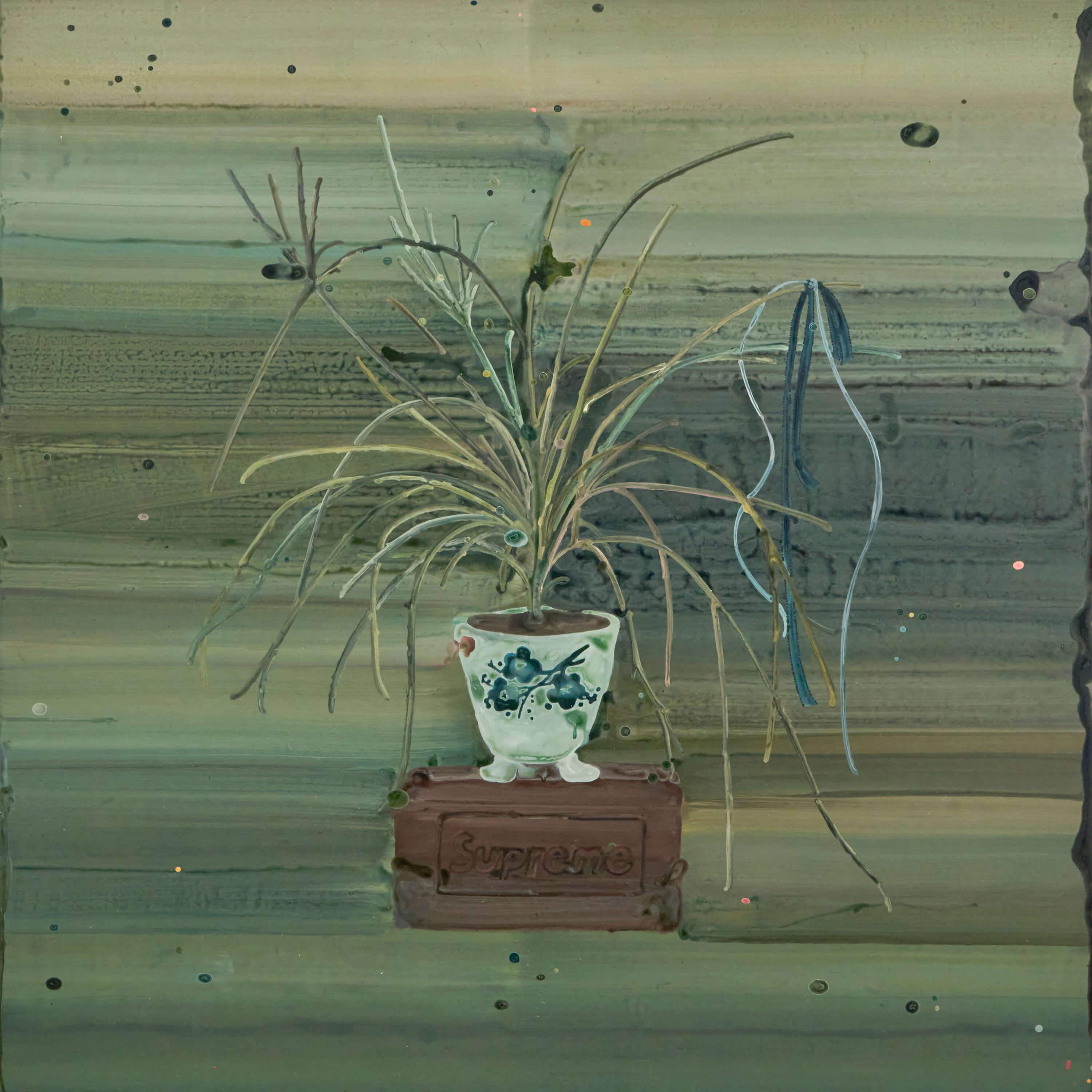 프랭키보이
Franky Boy