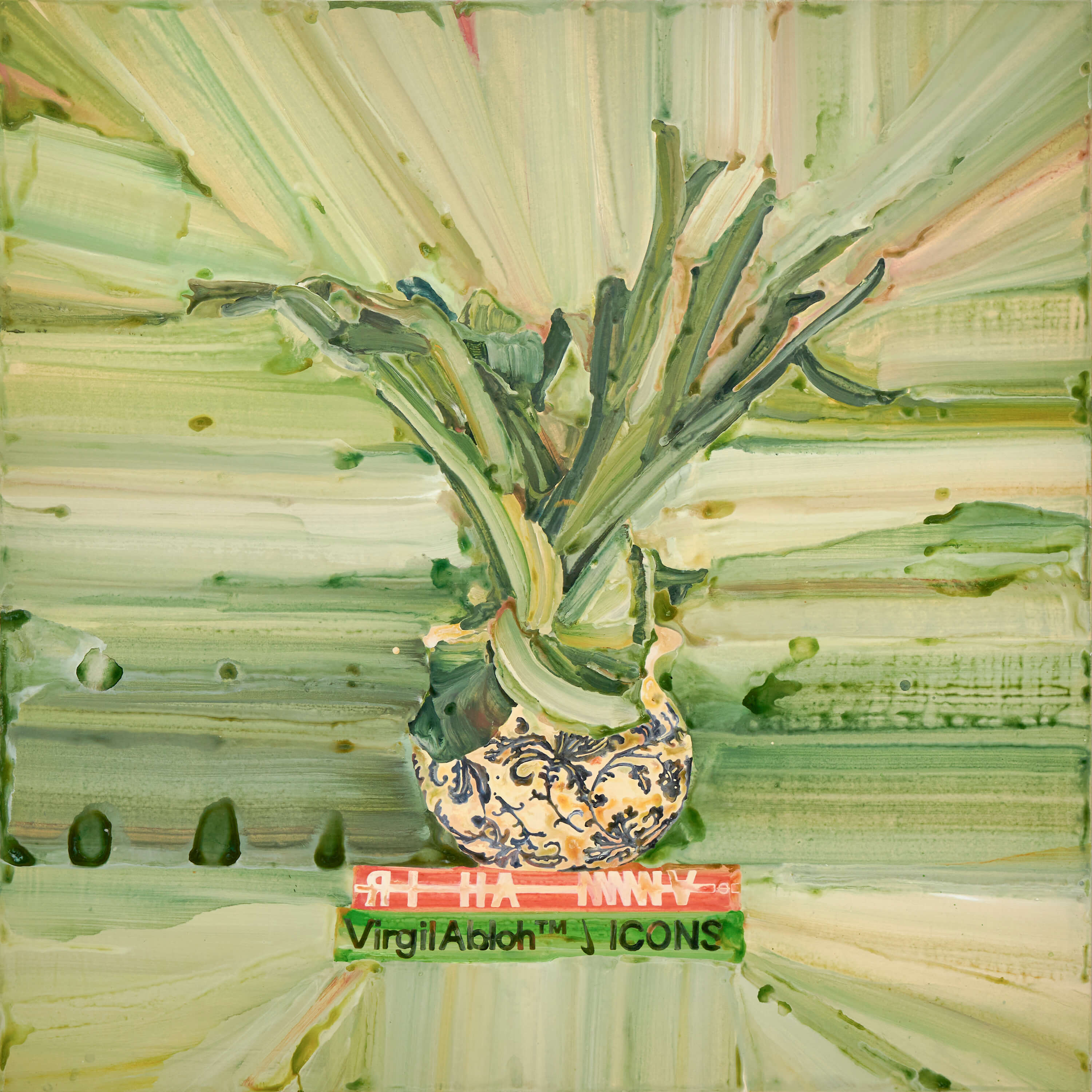 박쥐란
Staghorn Fern