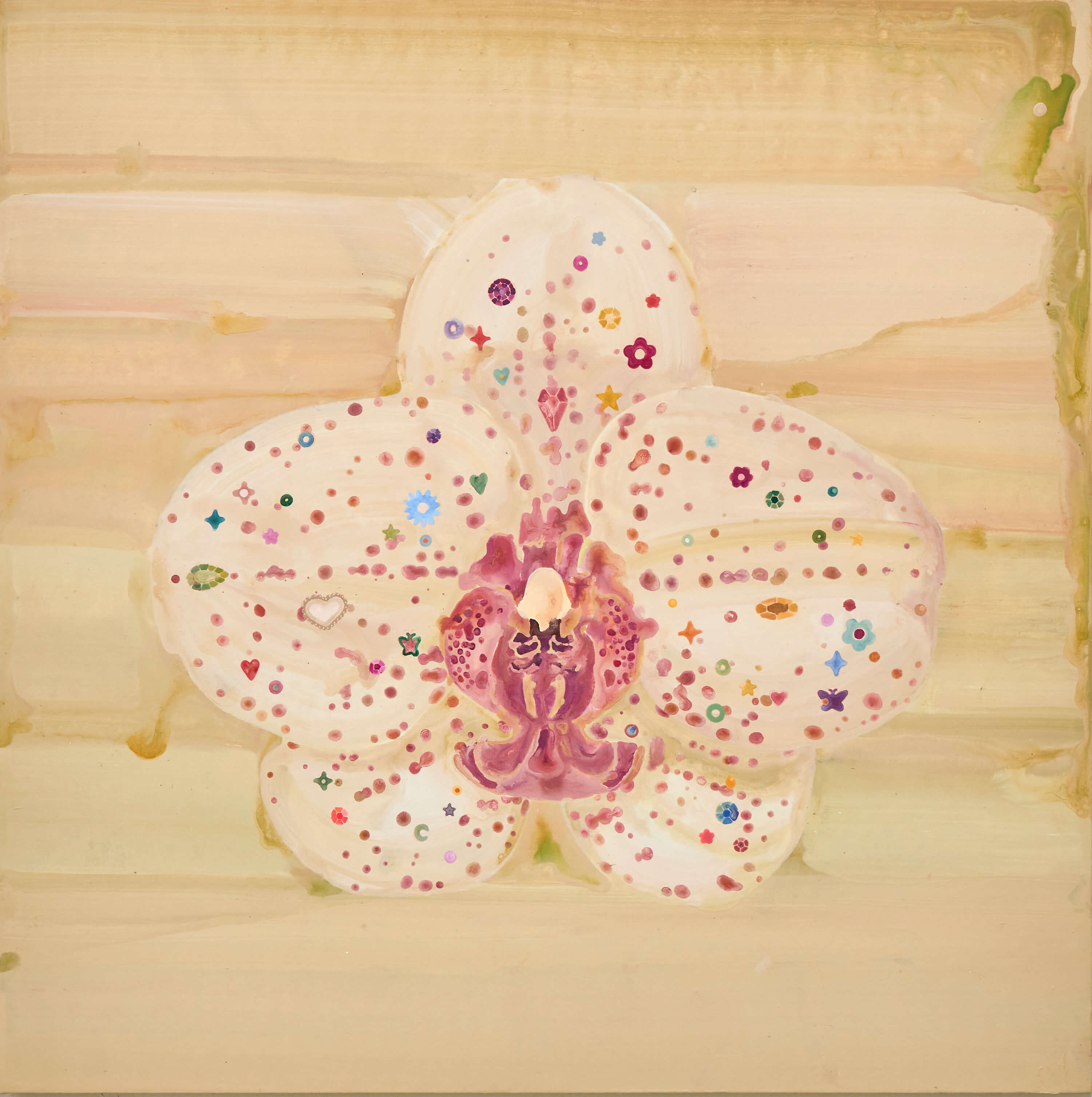 호접란
Selfie of Phalaenopsis