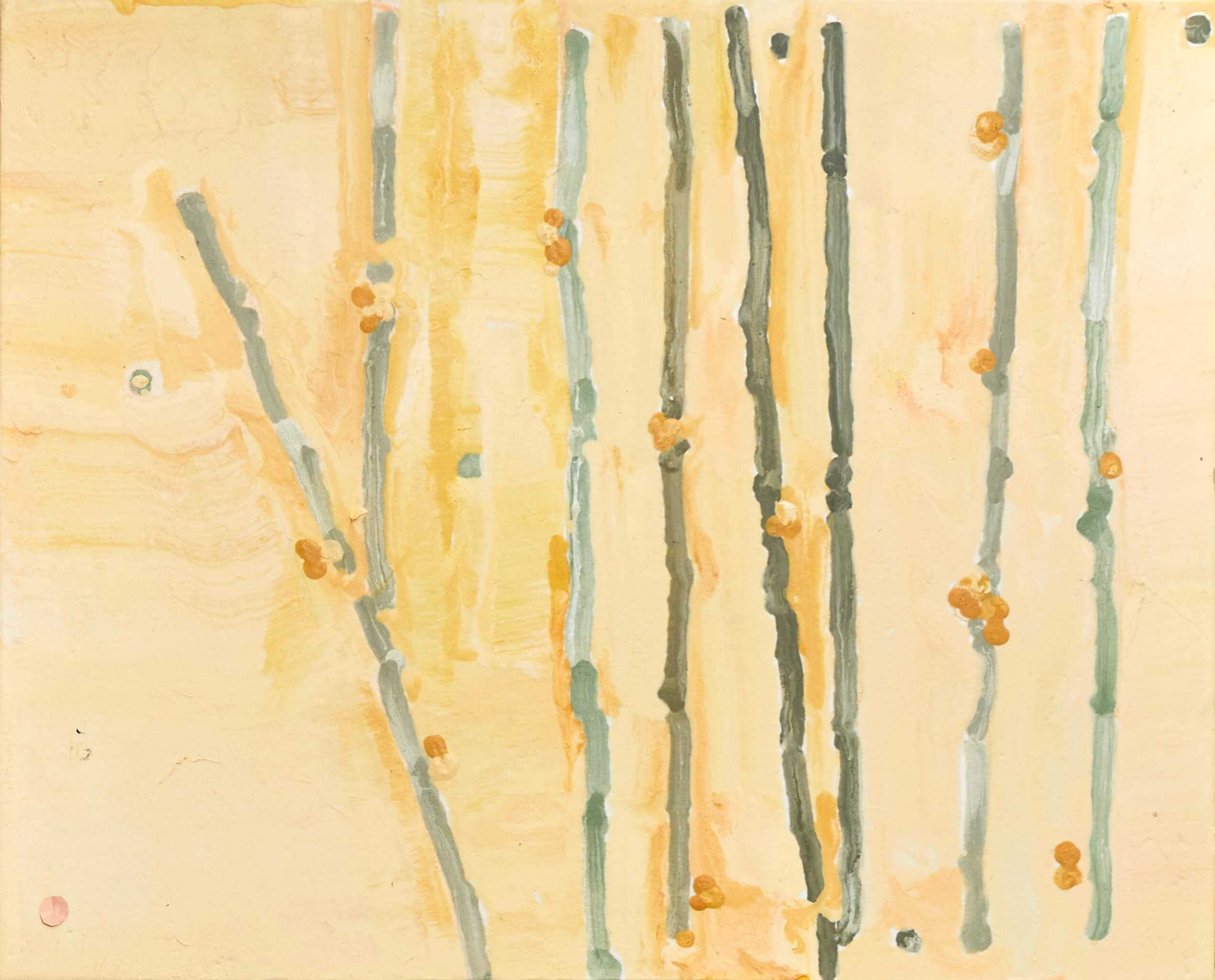 팡파레 골풀(Piece 7)
Fanfare Sedge(Piece 7)