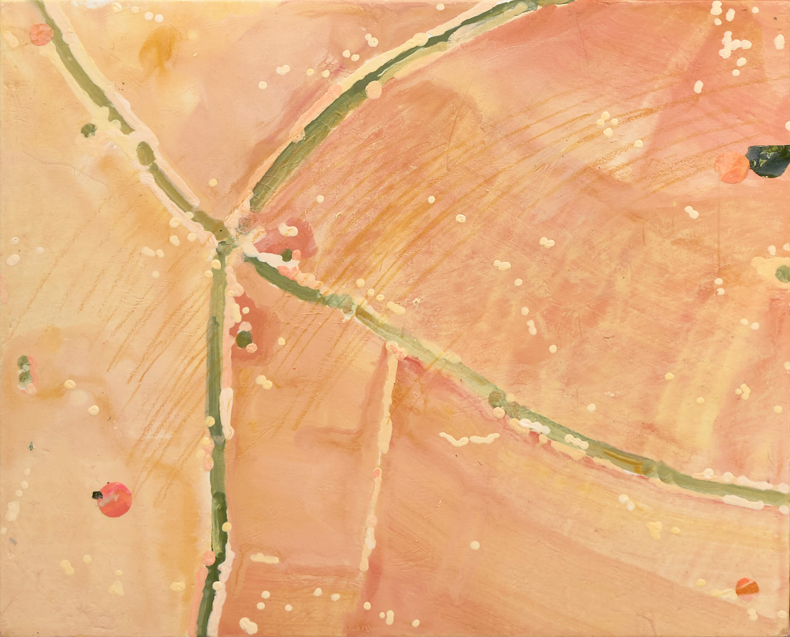팡파레 골풀(Piece 5)
Fanfare Sedge(Piece 5)