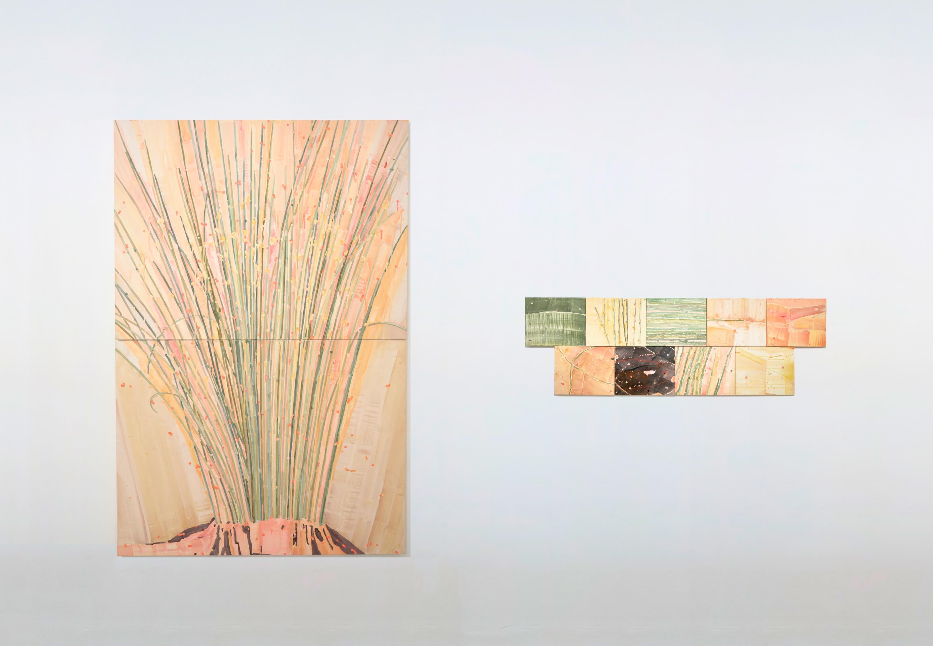 팡파레 골풀
Fanfare Sedge